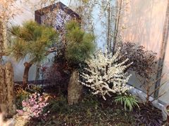 -鼎盛王朝康熙大典实景演出