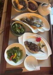 -馨月汇·一悦馨香月子中心(前滩店)