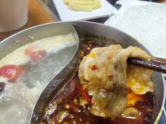 鸳鸯锅-重庆小天鹅(英雄山路店)