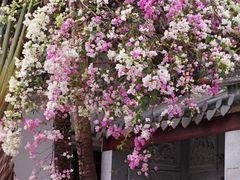 -深圳国际园林花卉博览园