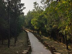-白水寺森林公园