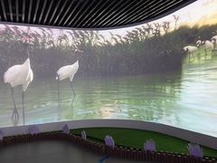 -哈尔滨规划展览馆