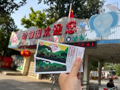 -保定市动物园