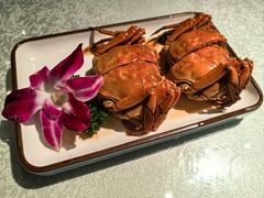 -三玛璐酒楼(汉口路店)