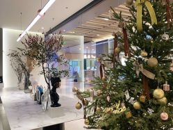 -LB·海菲秀牛奶光官方体验中心