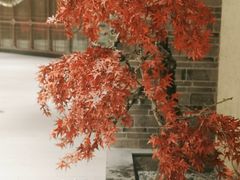 -杭州平安悦坊 PAFC LIVING