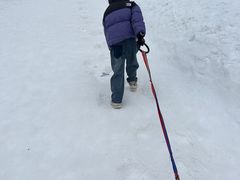 -沈阳奥体冰雪嘉年华