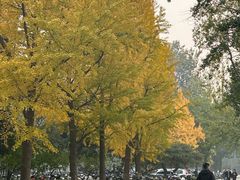 -北京理工大学(中关村校区)