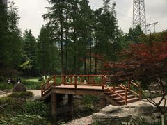 -重庆彩云湖湿地公园