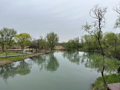 -西溪国家湿地公园