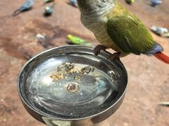 -正佳雨林生态植物园