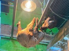 -北京野生动物园