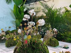 -精绝七日-新疆尼雅遗址数字大展【拉法耶文化艺术中心】