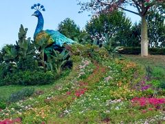 -东莞植物园