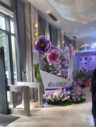 -深圳美莱医疗美容医院