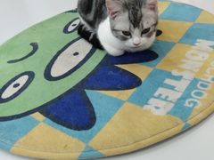 -糯米喵星人·撸猫猫舍咖啡馆(西市场嘉华店)