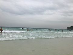 -月光岛
