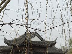 -水西公园