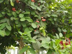 -南通洲际绿博园