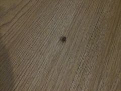 -南洋冠盛酒店(广州天河公园地铁站店)