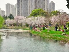 -堤角公园
