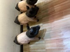 -小稻田辣椒炒肉(大浪商业中心店)