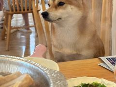 -柴の食堂·日式家庭料理·熊之肆(大学路店)