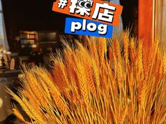 -敦煌山庄摘星阁