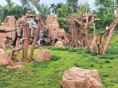 -海南热带野生动植物园