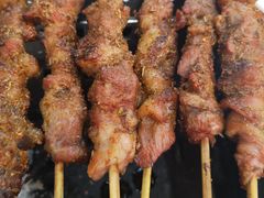 特色鲜肉大串-胖姐烧烤(总店)