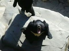 -石家庄市动物园