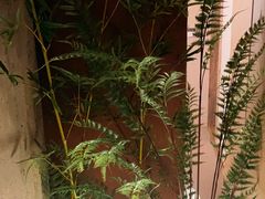 -茗知道茶馆(世博源店)