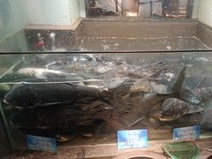 -上名堂·鱼头好吃(体育场路店)