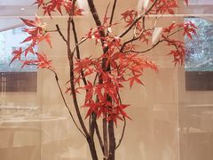 -大永徽·传统徽菜