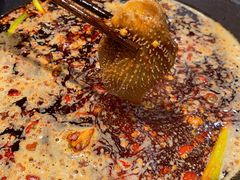 -赵美丽重庆火锅(西安直营总店)