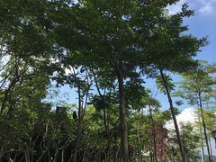 -深圳大学城（南区）体育中心-游泳馆