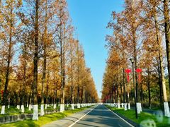 -砂之船奥莱(南京江宁店)