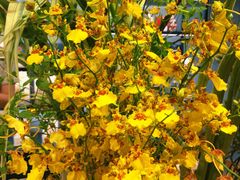 -BEAST野兽派(上海浦东嘉里城店)