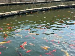 -东台西溪天仙缘景区