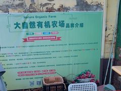 -大自然农场蔬菜草莓采摘园