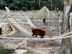 -上海野生动物园