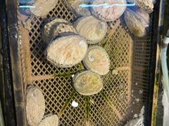 -海九澎湖海鲜餐厅