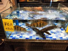 -老伙记海鲜码头(北滘店)