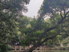 -惠山古镇·寄畅园