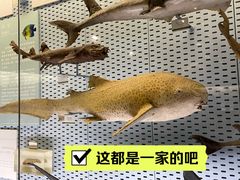 -浙江自然博物院(杭州馆)