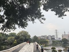 -荔湾湖公园