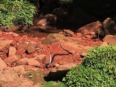 -赤水丹霞旅游区·佛光岩