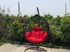 -樂桃源奉贤黄桃种植采摘基地