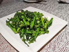 姜汁烧酒炒芥兰苗-淇乐多品味馆(江南大道店)