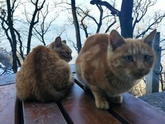 -终南山南五台景区